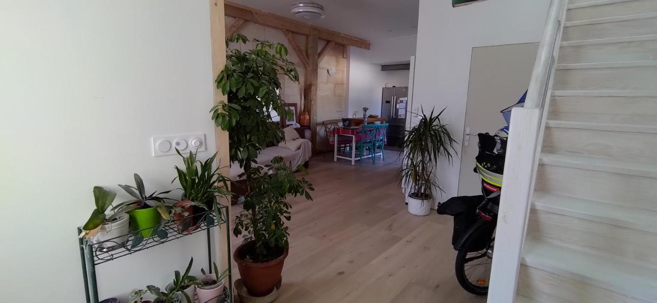 Belle Chambre Sur Terrasse A 3 Min De La Gare 波尔多 外观 照片